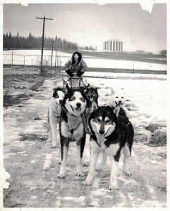 DogSled